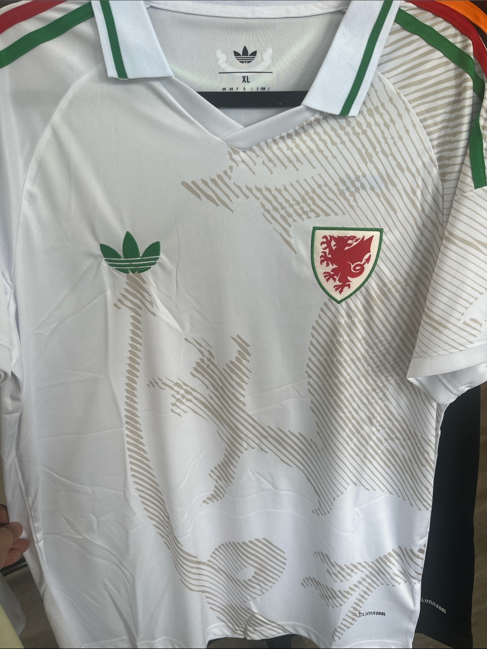 White Soccer Jersey with Wales Red Crest and Green Trim